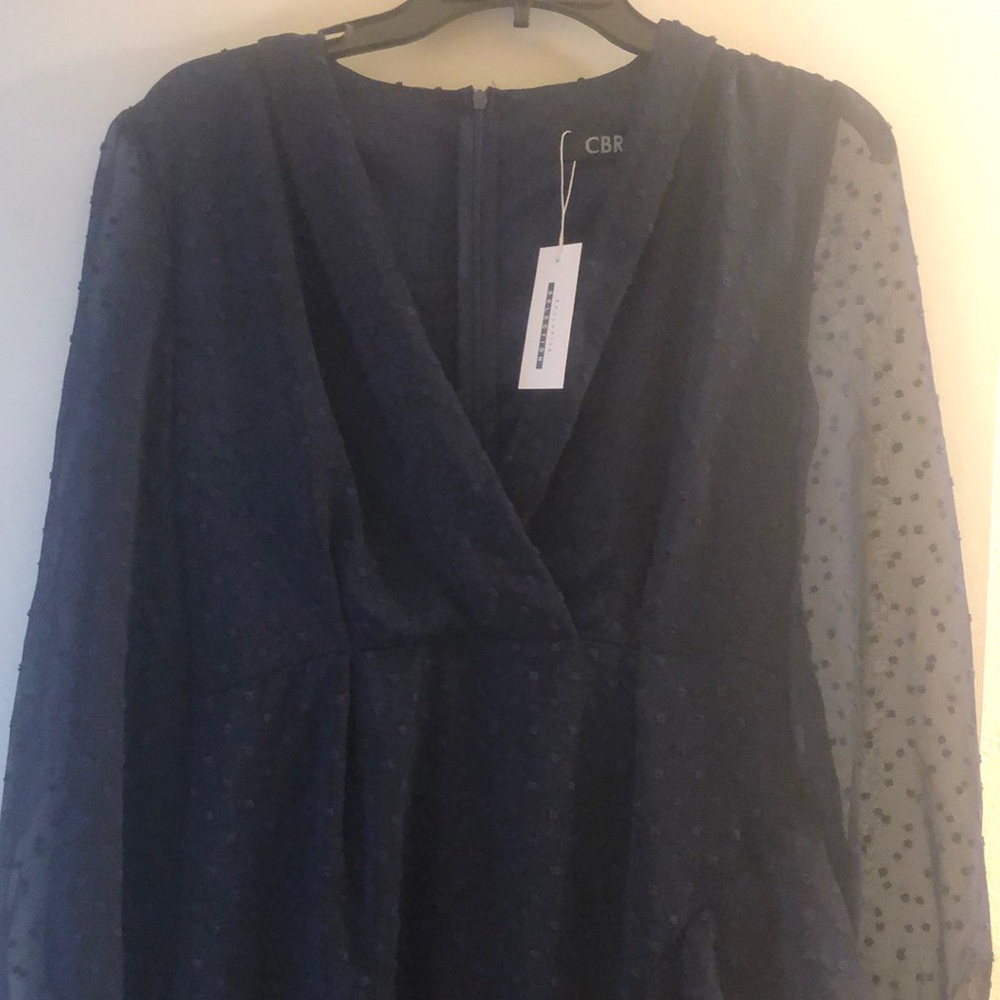 Sheer long sleeved navy/royal blue dress. Low cut front